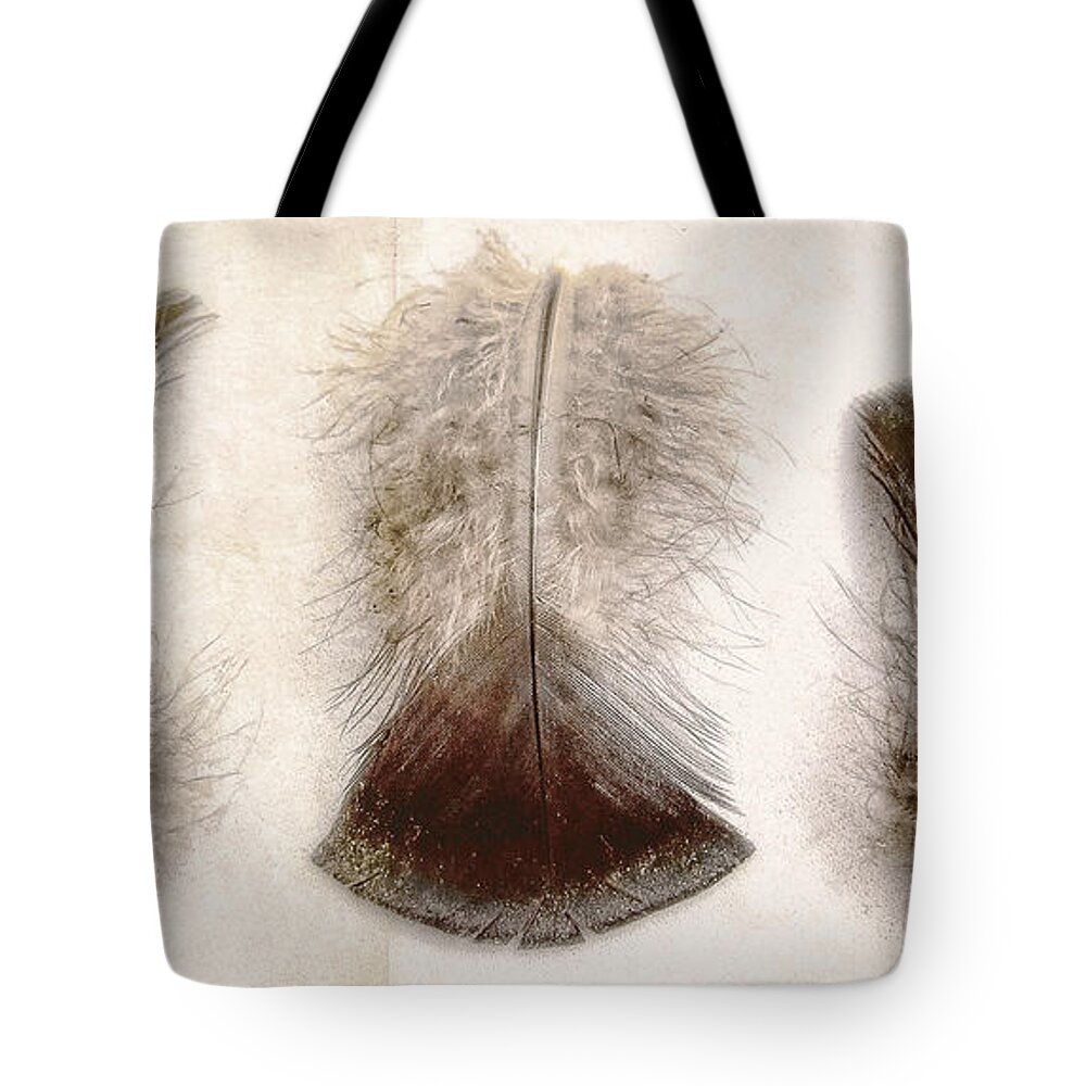 Feathers Tote Bag featuring the photograph Three Little Turkey Feathers by Louise Kumpf