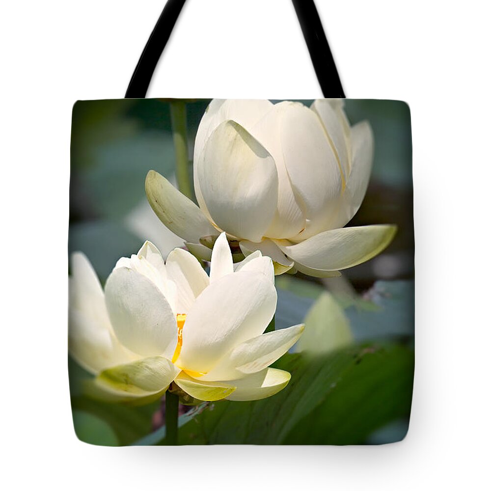 Lotus Tote Bag featuring the photograph Three Lotus Flowers by Mary Almond