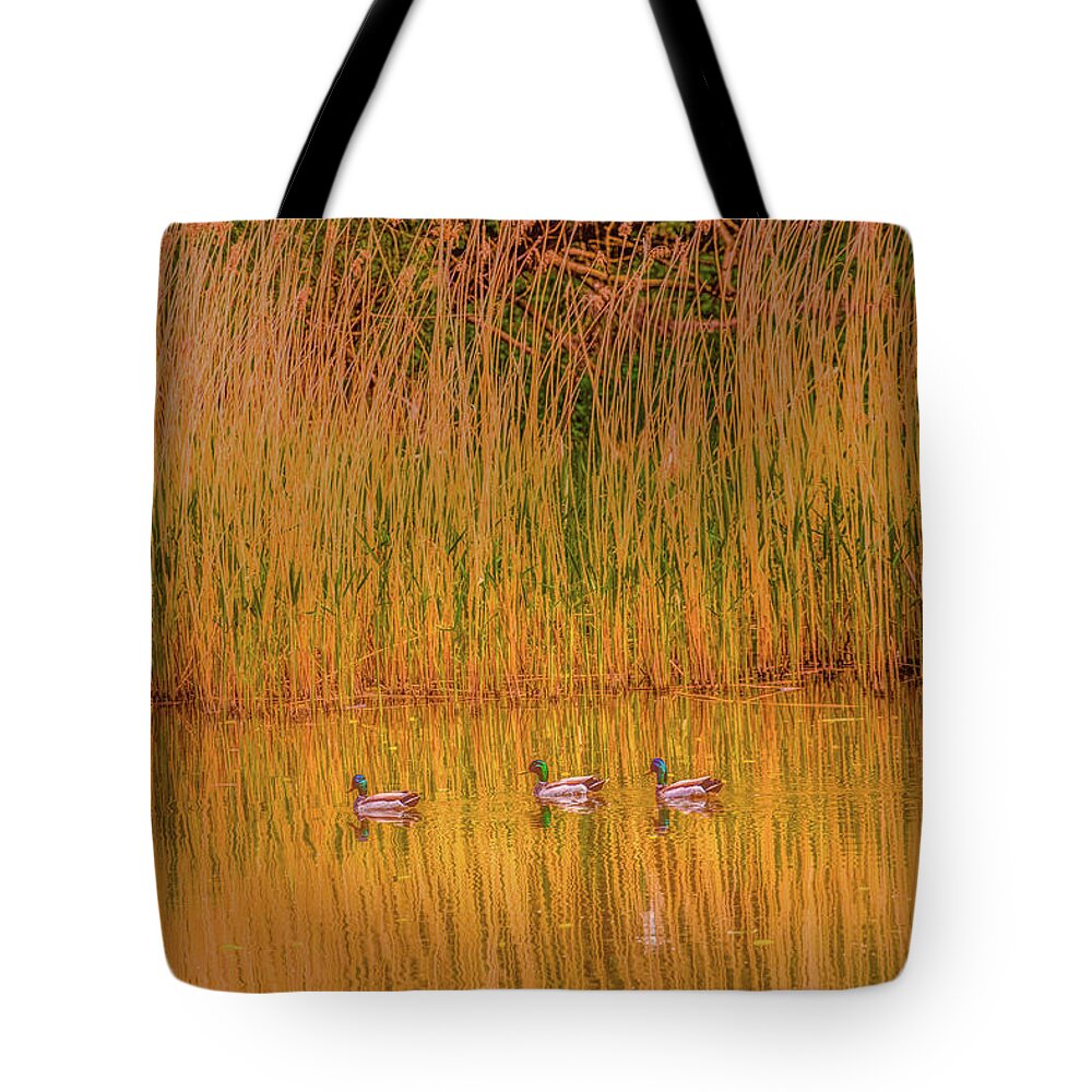 Musketeer Tote Bag featuring the photograph Three Musketeers 1 by Leif Sohlman