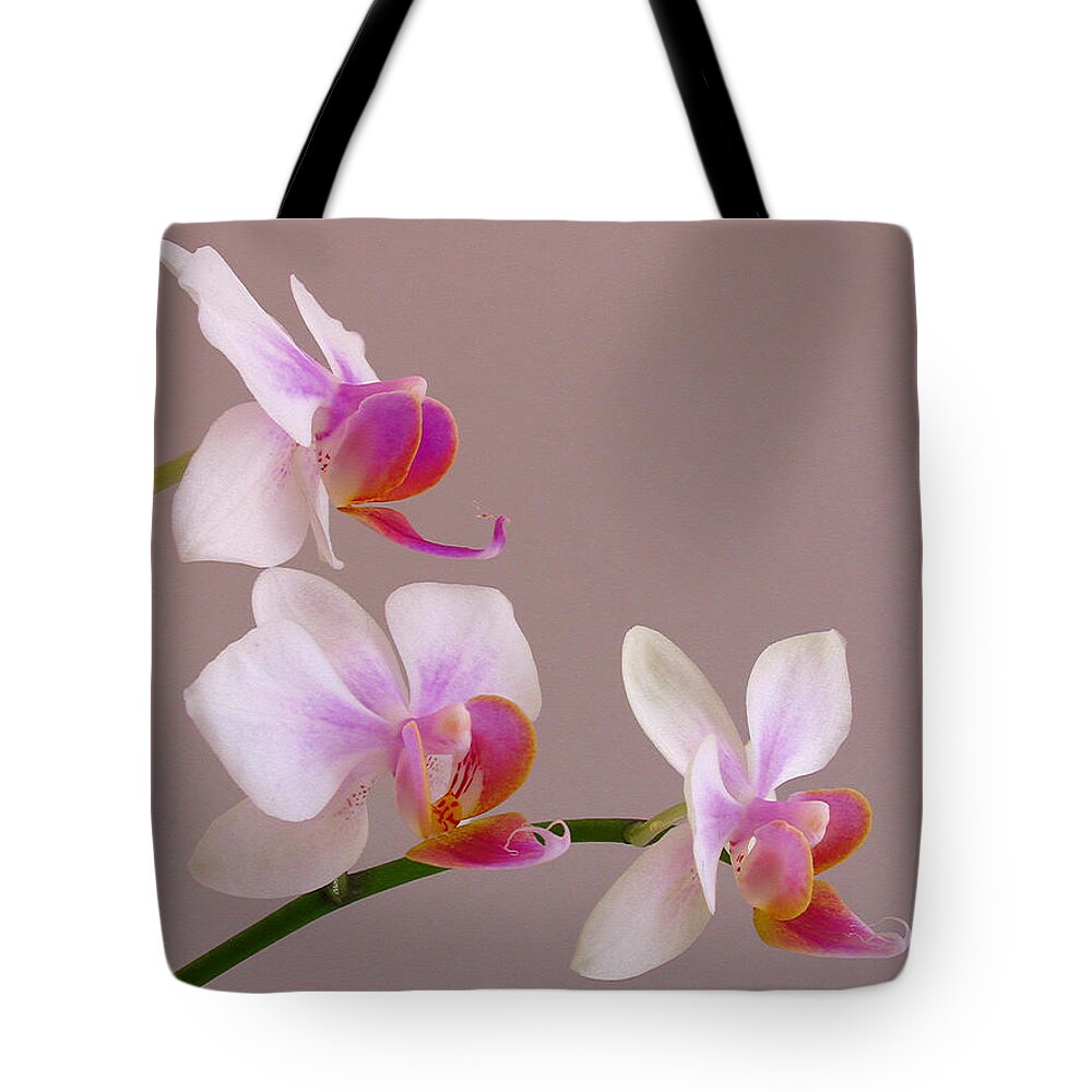 Keefe Tote Bag featuring the photograph Three Orchids by Juergen Roth