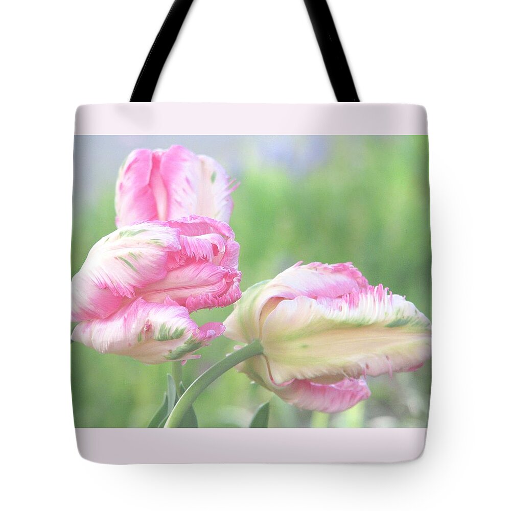 Pink Parrot Tulips Tote Bag featuring the photograph Three Sisters by Angela Davies