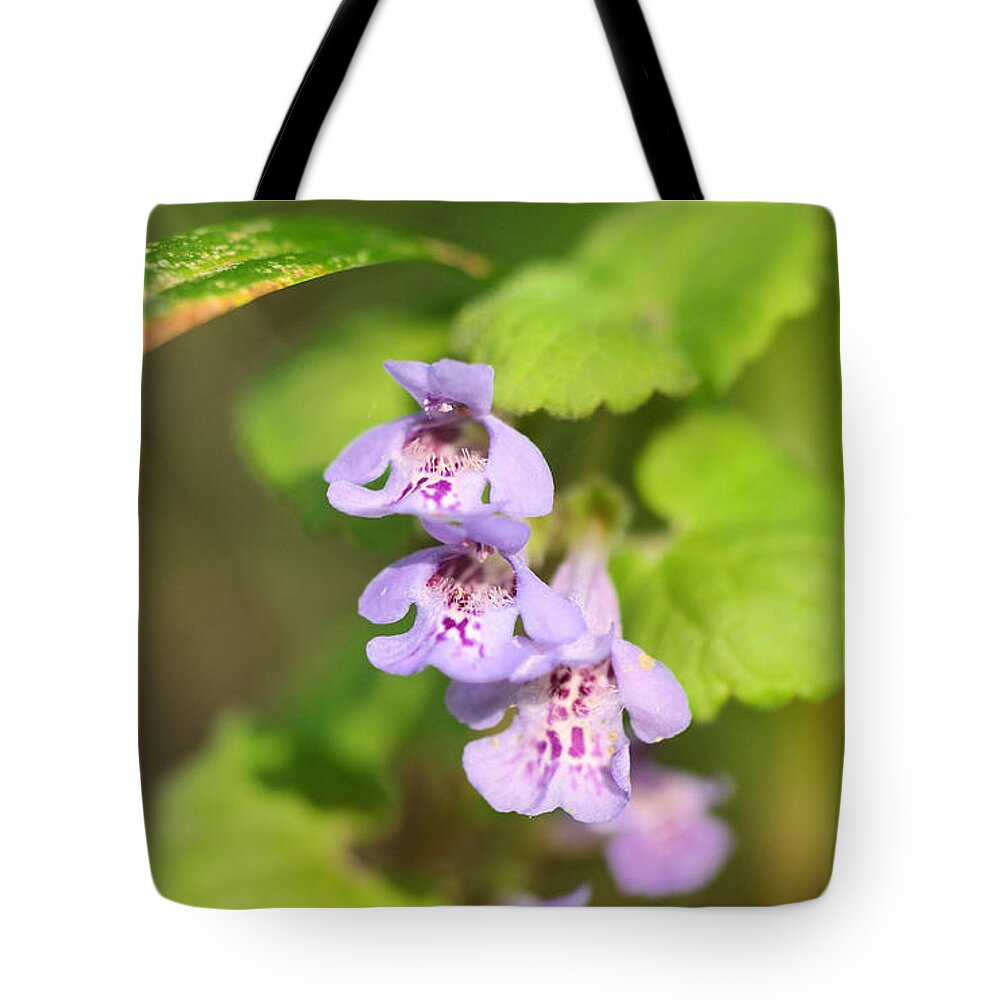 Flowers Tote Bag featuring the photograph Three stacked beauties by Jeff Swan
