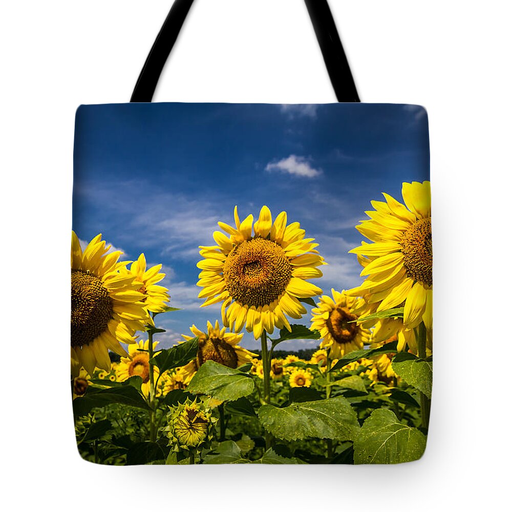 Blue Sky Tote Bag featuring the photograph Three Suns by Ron Pate