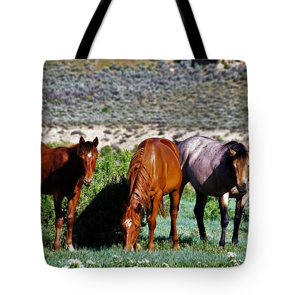 Horses Tote Bag featuring the photograph Three Together by Merle Grenz