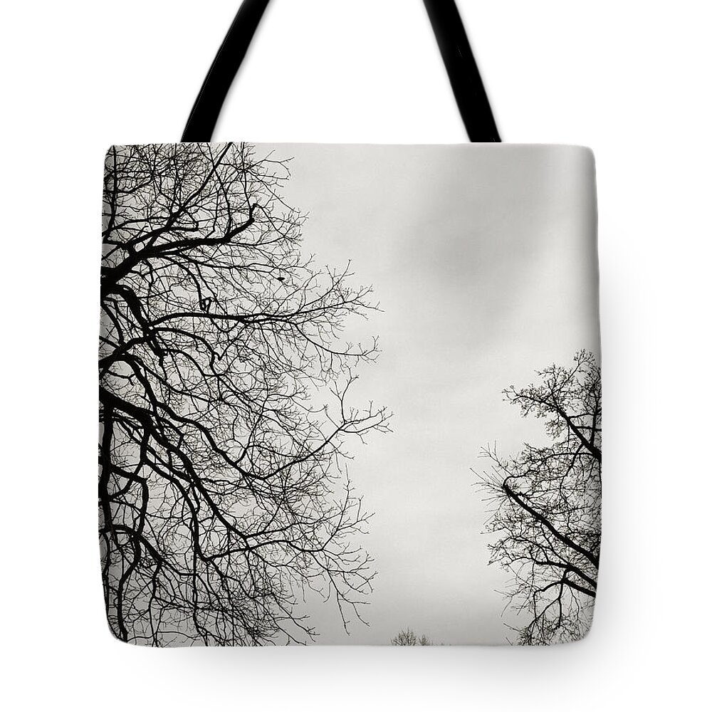 Tree Tote Bag featuring the photograph Three Trees by Linda Woods