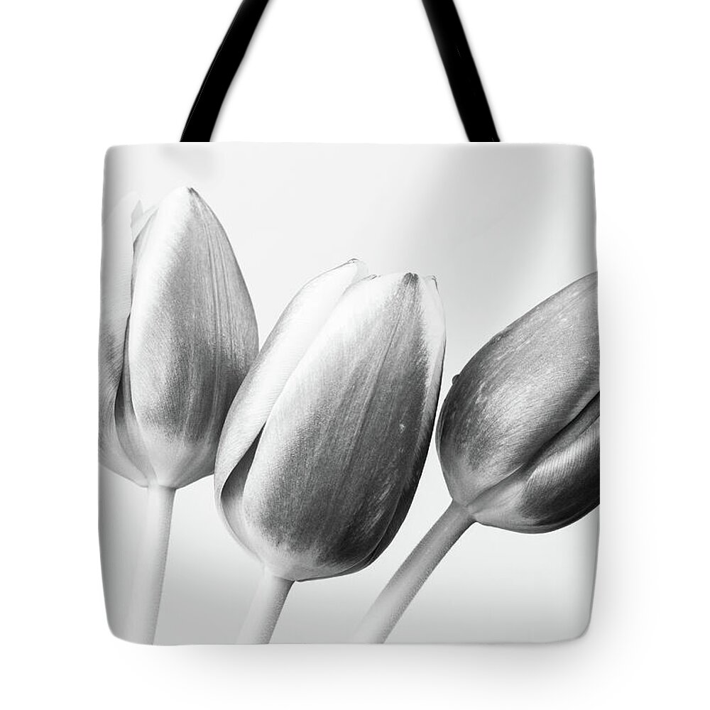 Artistic Tote Bag featuring the photograph Three Tulips by Tanya C Smith