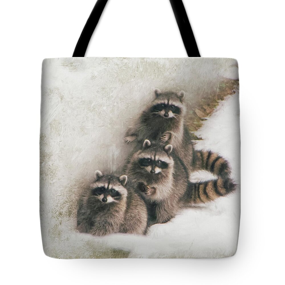 Raccoons Tote Bag featuring the photograph Three Amigos by Marilyn Wilson