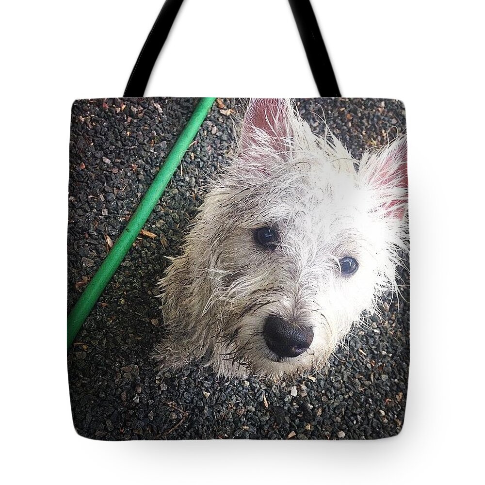 Westie Tote Bag featuring the photograph Wild Willie Discovers The Hose by Kate Arsenault 