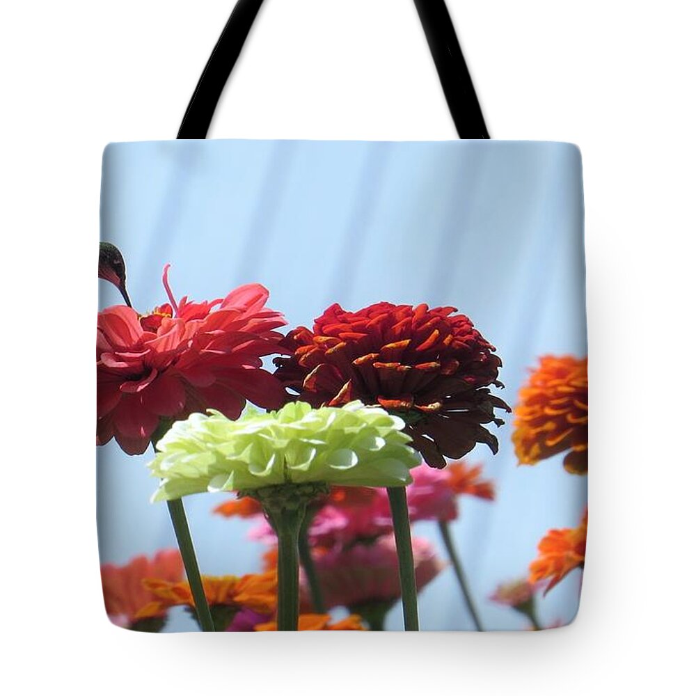 Humming Bird Tote Bag featuring the photograph Thristy Hummer by Jeanette Oberholtzer
