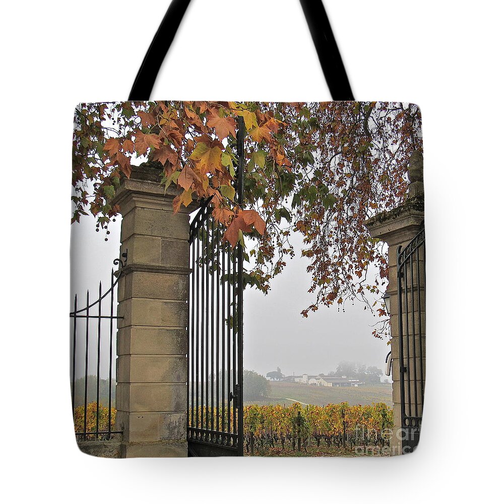 Gates Tote Bag featuring the photograph Through the Gates by Barbara Plattenburg