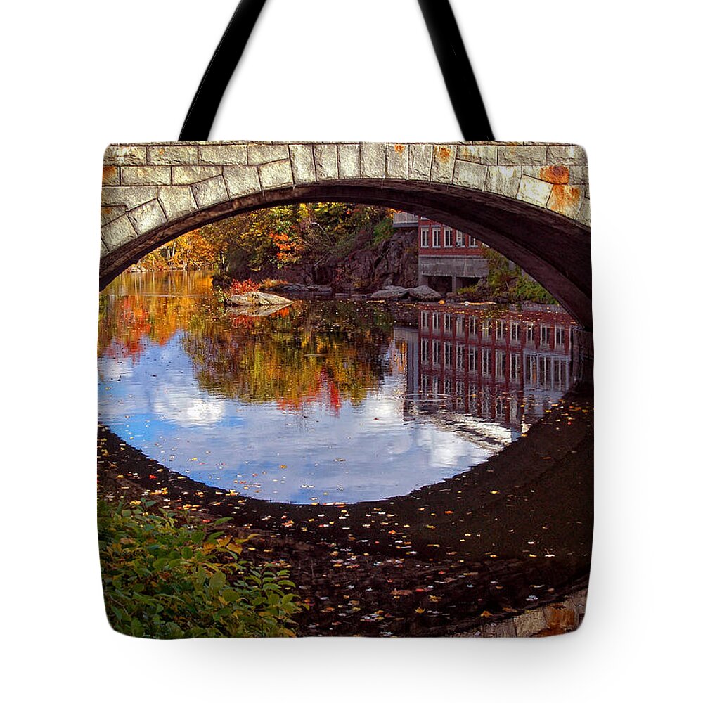 River Tote Bag featuring the photograph Through the Looking Glass by Joann Vitali