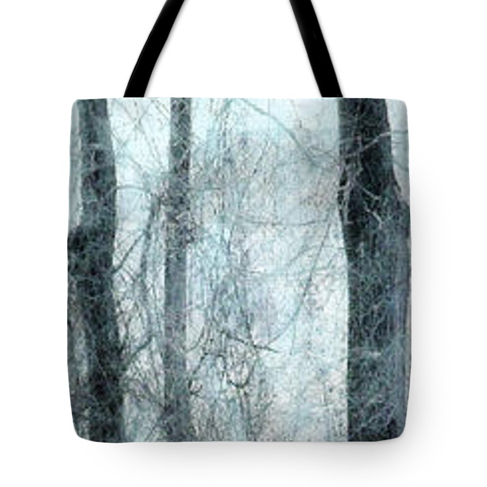Trees Tote Bag featuring the photograph Through The Trees by Ian MacDonald