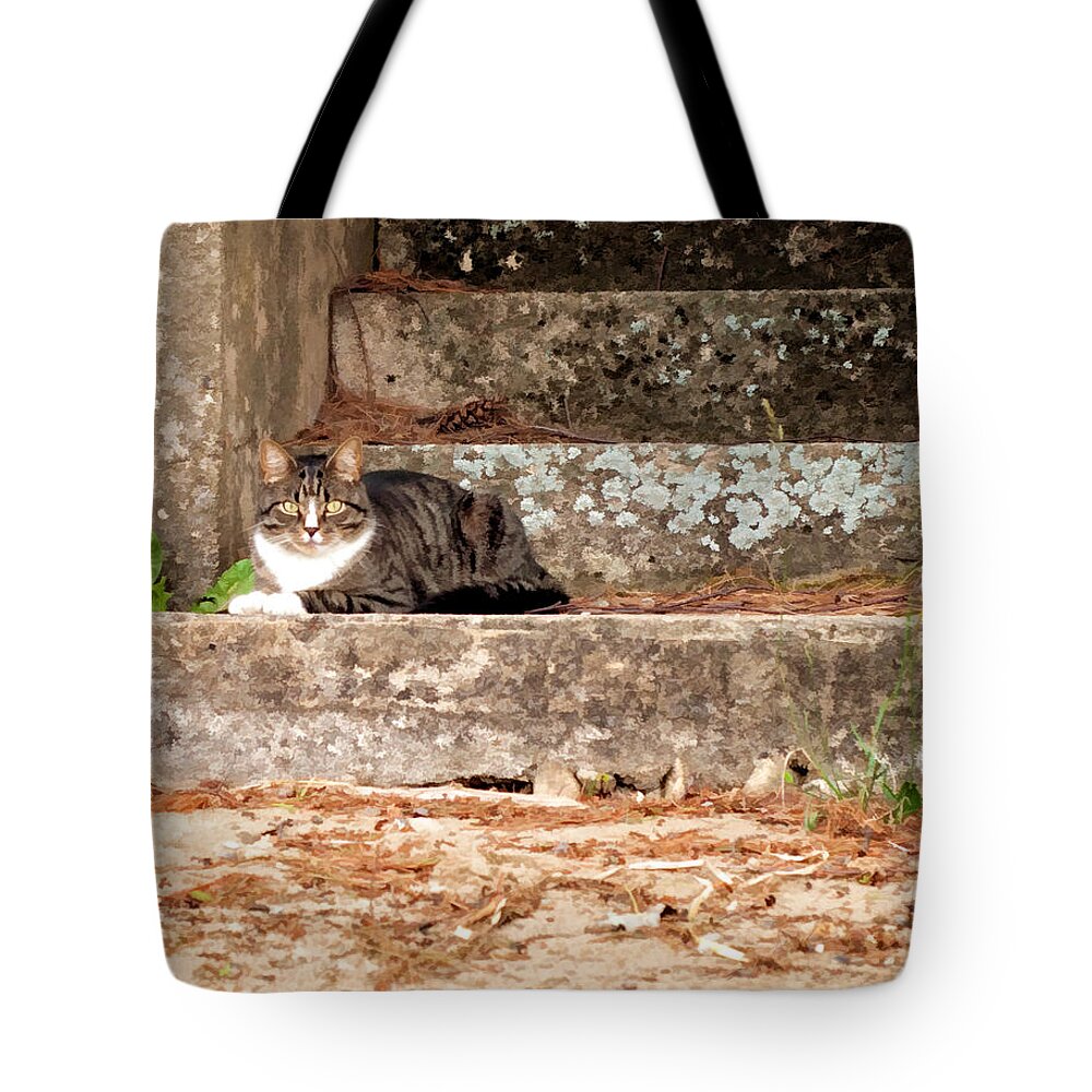 Animal Tote Bag featuring the photograph Tiger Kitty on Stairs in watercolor by Donna Doherty