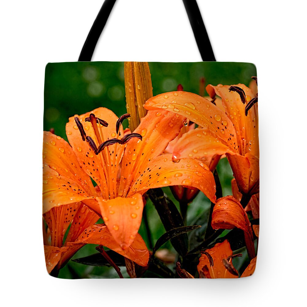 Tiger Lily Tote Bag featuring the photograph Tiger Lilies with Spring Shower by Paula Ponath