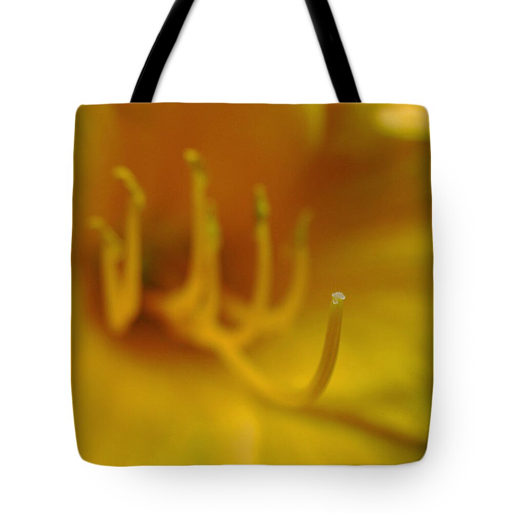 Lily Tote Bag featuring the photograph Tiger Lily by Juergen Roth