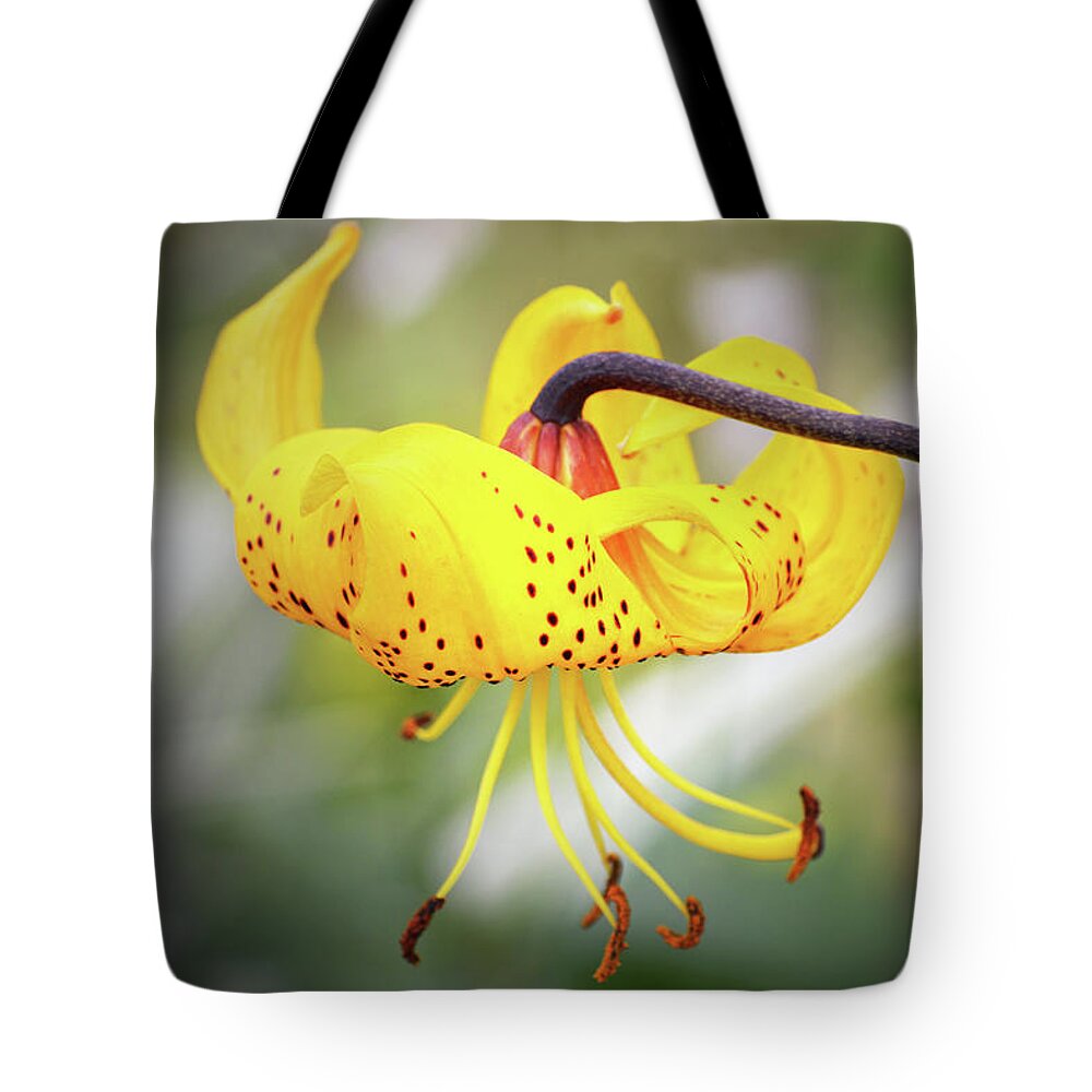 Tiger Lily Tote Bag featuring the photograph Tiger Lily. by Terence Davis