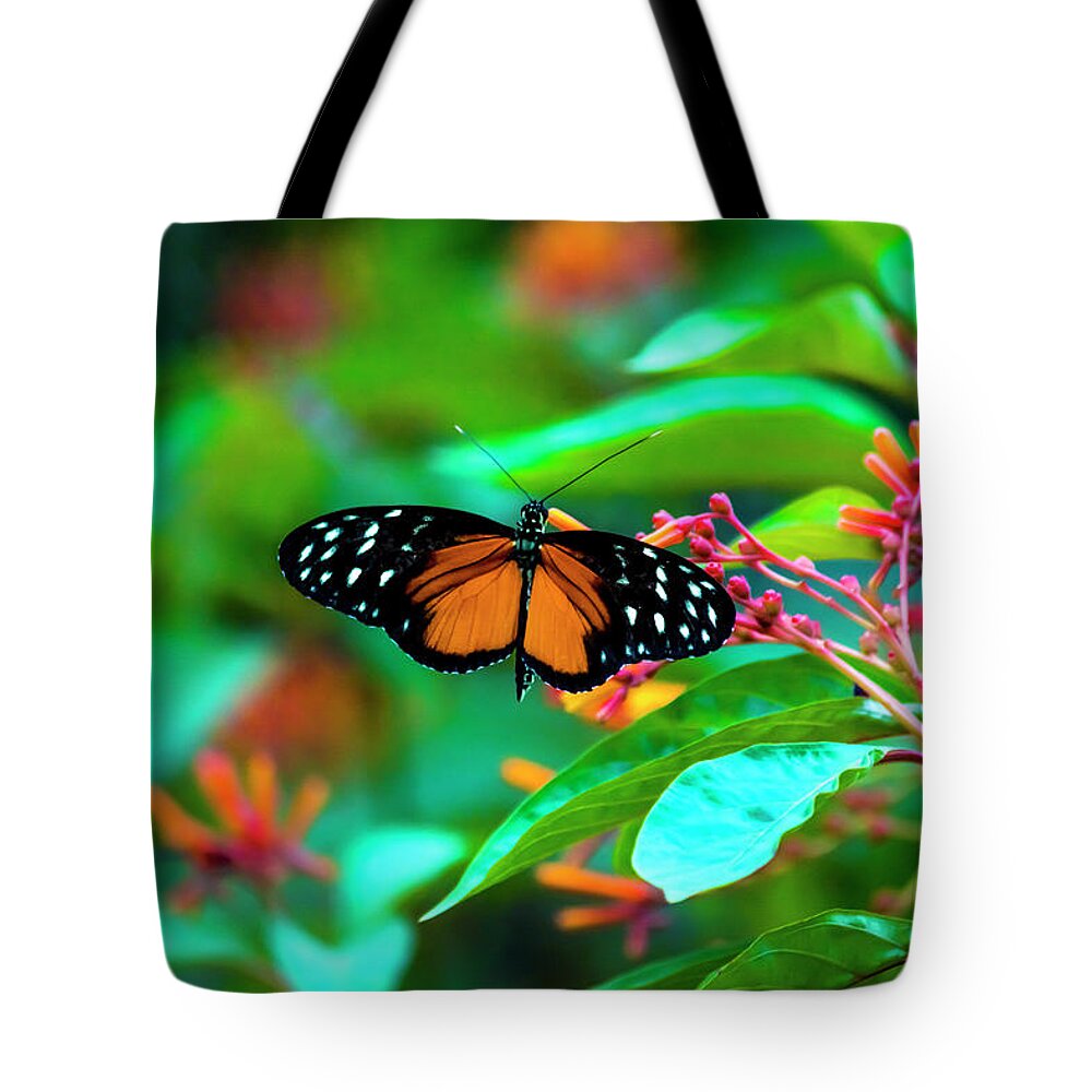 Tiger Longwing Butterfly Tote Bag featuring the photograph Tiger Longwing Butterfly by David Morefield