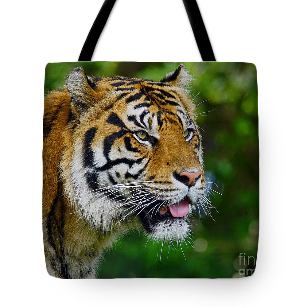 Tiger Tote Bag featuring the photograph Tiger Portrait by Larry Nieland