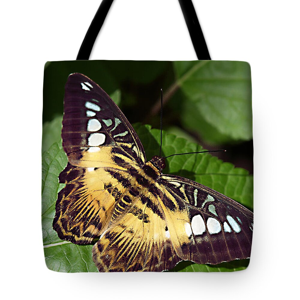 Butterfly Tote Bag featuring the photograph Tiger Print --- Clipper Butterfly by Bob Johnson