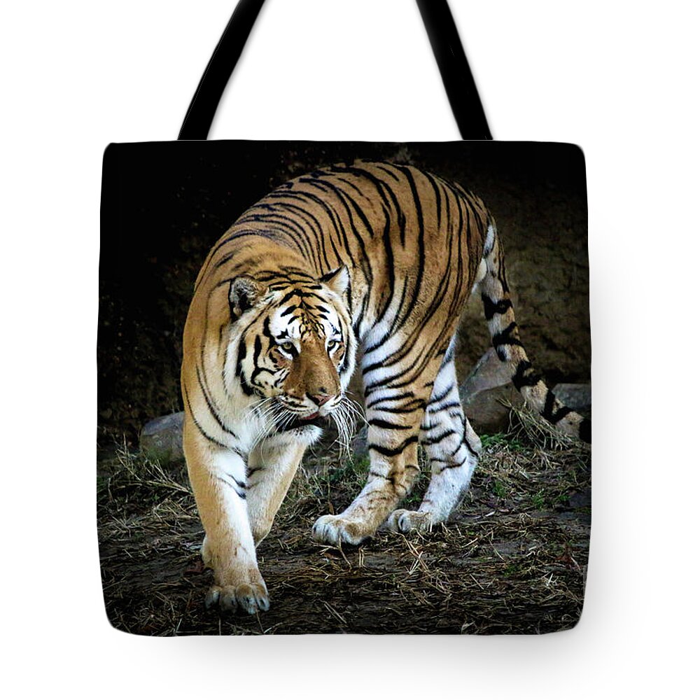 Tiger Tote Bag featuring the photograph Tiger Stripes Memphis Zoo by Veronica Batterson