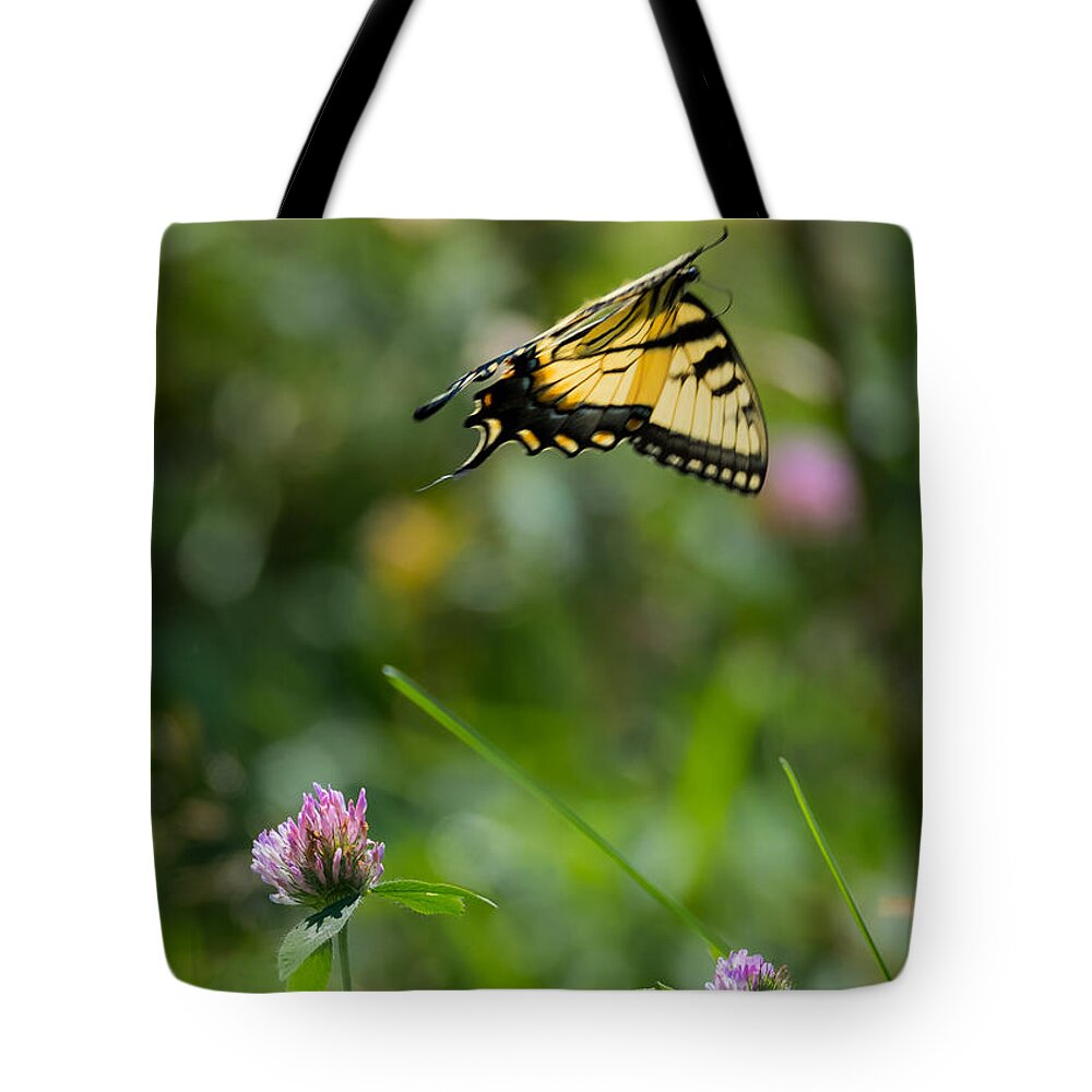 Tiger Swallowtail Butterfly In Flight Tote Bag featuring the photograph Tiger Swallowtail Butterfly In Flight by Holden The Moment
