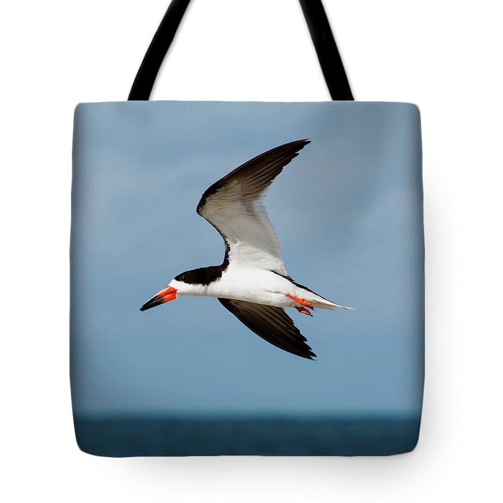 Florida Tote Bag featuring the photograph Tiger Tail Big Marco Pass - Black Skimmer in Flight by Ronald Reid