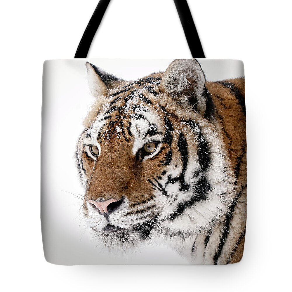 Tiger Tote Bag featuring the photograph Tiger Up Close by Athena Mckinzie