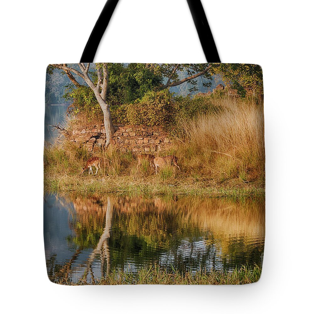Landscape Tote Bag featuring the photograph Tigerland by Pravine Chester