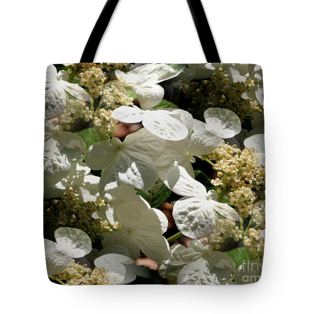 Flower Tote Bag featuring the photograph Tiled White Lace Cap Hydrangeas by Smilin Eyes Treasures