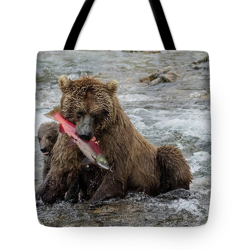 Alaska Tote Bag featuring the photograph Time for Lunch by Cheryl Strahl