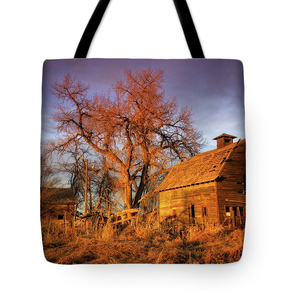 Colorado Tote Bag featuring the photograph Time Stands Still In Sunlight by John De Bord