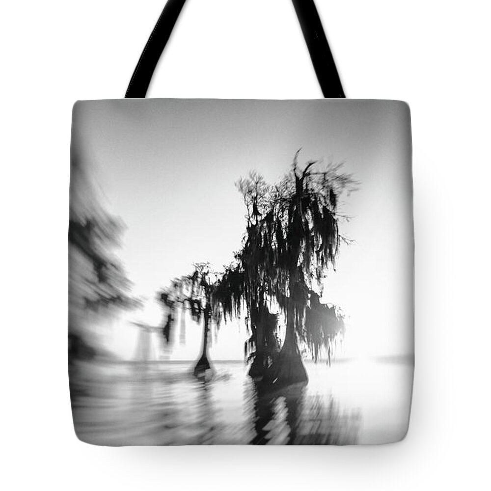 Crystal Yingling Tote Bag featuring the photograph Timeless by Ghostwinds Photography