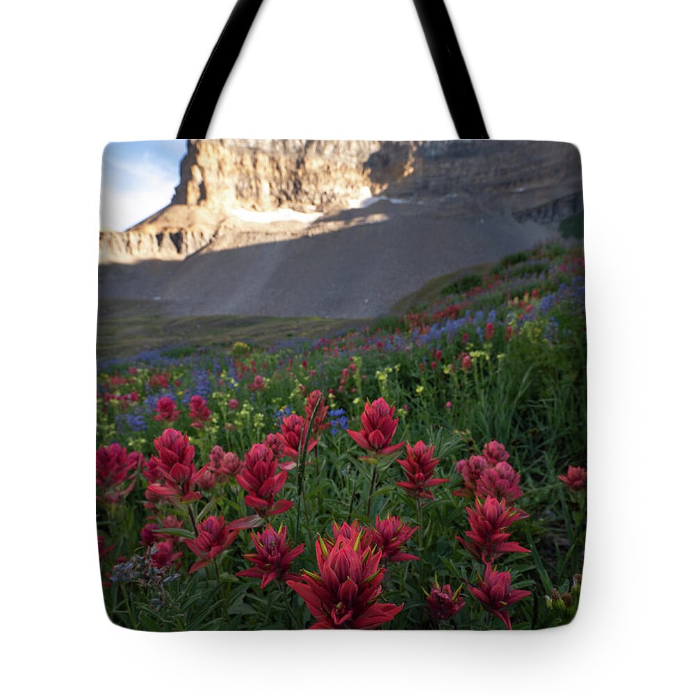 Timp Tote Bag featuring the photograph Timpanogos Paintbrush by Emily Dickey