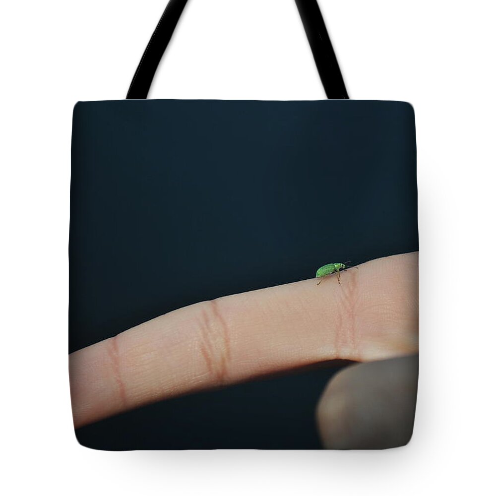 Bug Tote Bag featuring the photograph Tini by Cristhian Diaz