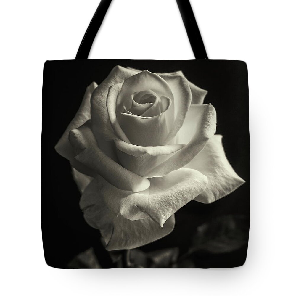 Rose Tote Bag featuring the photograph Tinted Rose by Jeff Townsend