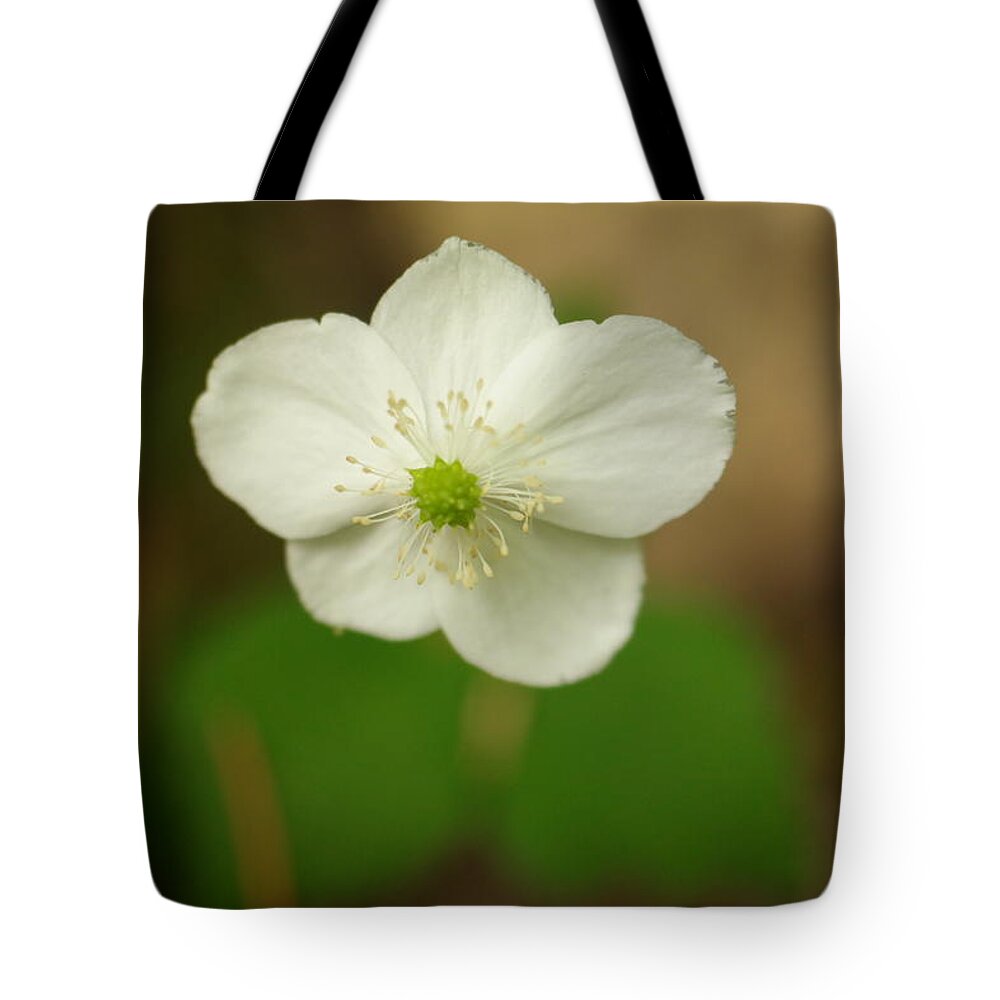 Flower Tote Bag featuring the photograph Tiny Button by Jeff Swan