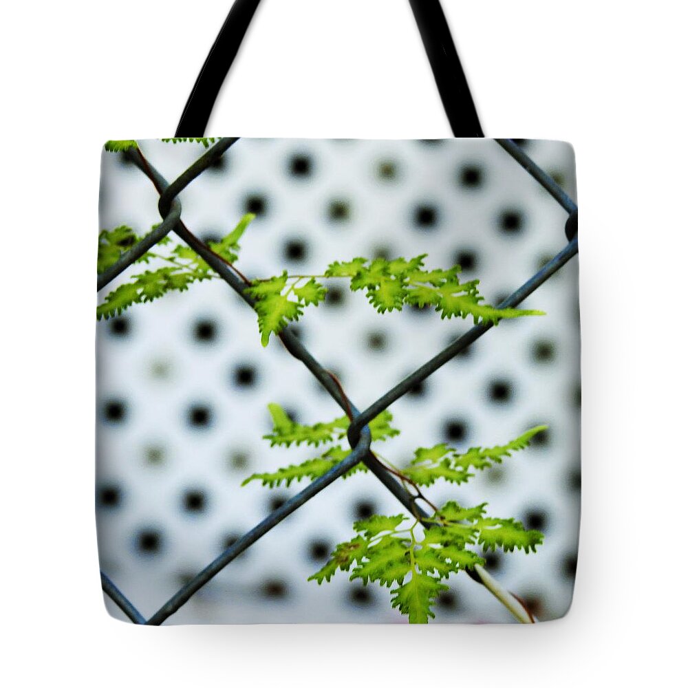 Weed Gardening Vine Green Fern Nature Landscape Pattern Abstract Art Photography Fence Grow White Lattice Background Landscape Garden Tote Bag featuring the photograph Tiny Little Vine by Jan Gelders