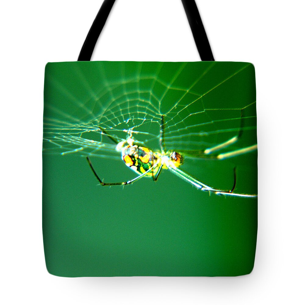 Bug Tote Bag featuring the photograph Tiny Neon Spider by Bob Johnson