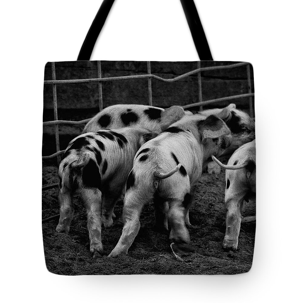 Pig Tote Bag featuring the photograph Tiny Tails by Lora Lee Chapman