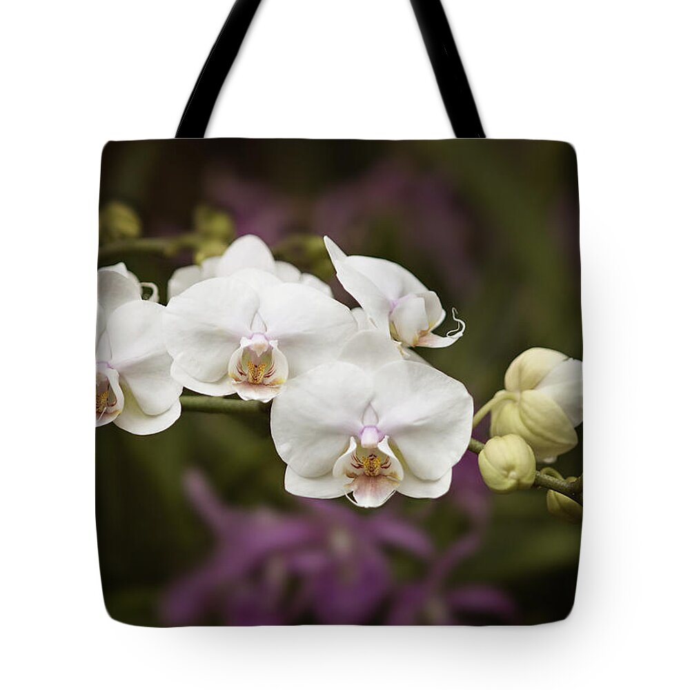Orchid Tote Bag featuring the photograph Tiny White Dancers by Jill Love