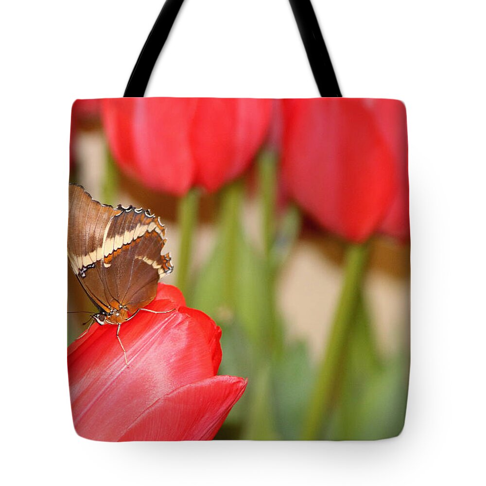 Butterfly Tote Bag featuring the photograph Tip Toe Through The Tulips by Living Color Photography Lorraine Lynch