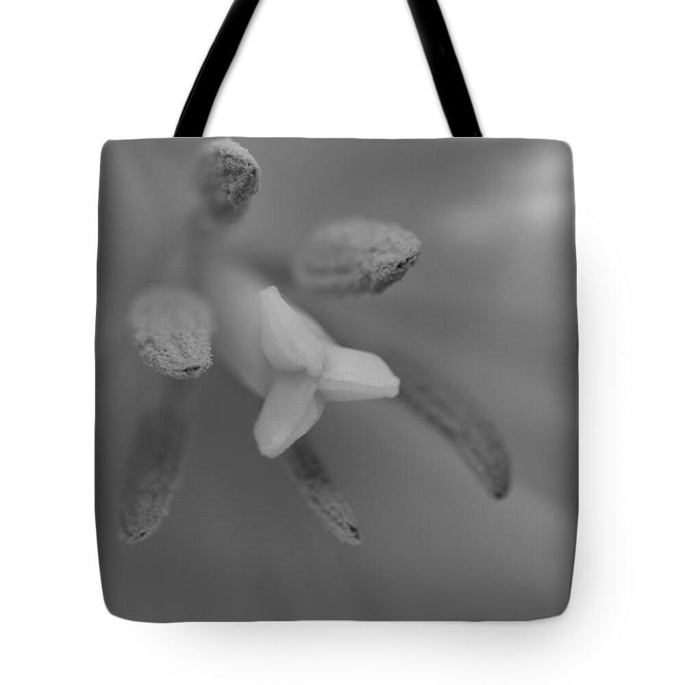 Florals Tote Bag featuring the photograph Tipped Off by Arlene Carmel