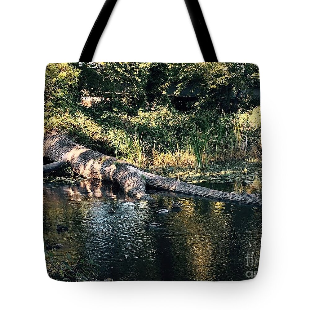 Tree Tote Bag featuring the photograph Tired Tree by LeLa Becker