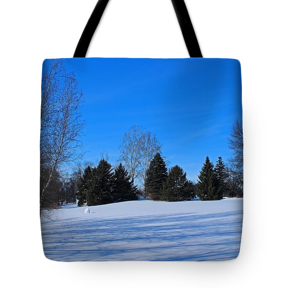 Winter Tote Bag featuring the photograph To Be With You by Michiale Schneider