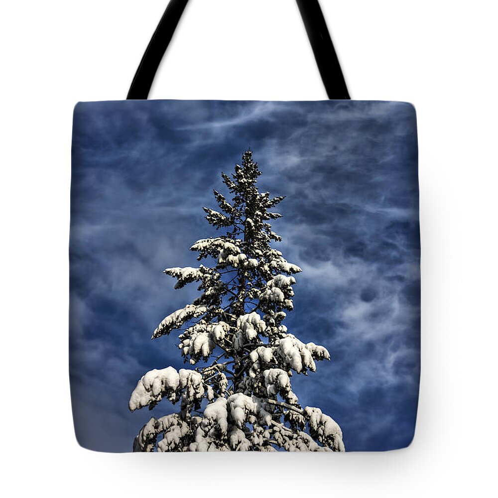 Spruce Tote Bag featuring the photograph To Blue Horizons by Evelina Kremsdorf