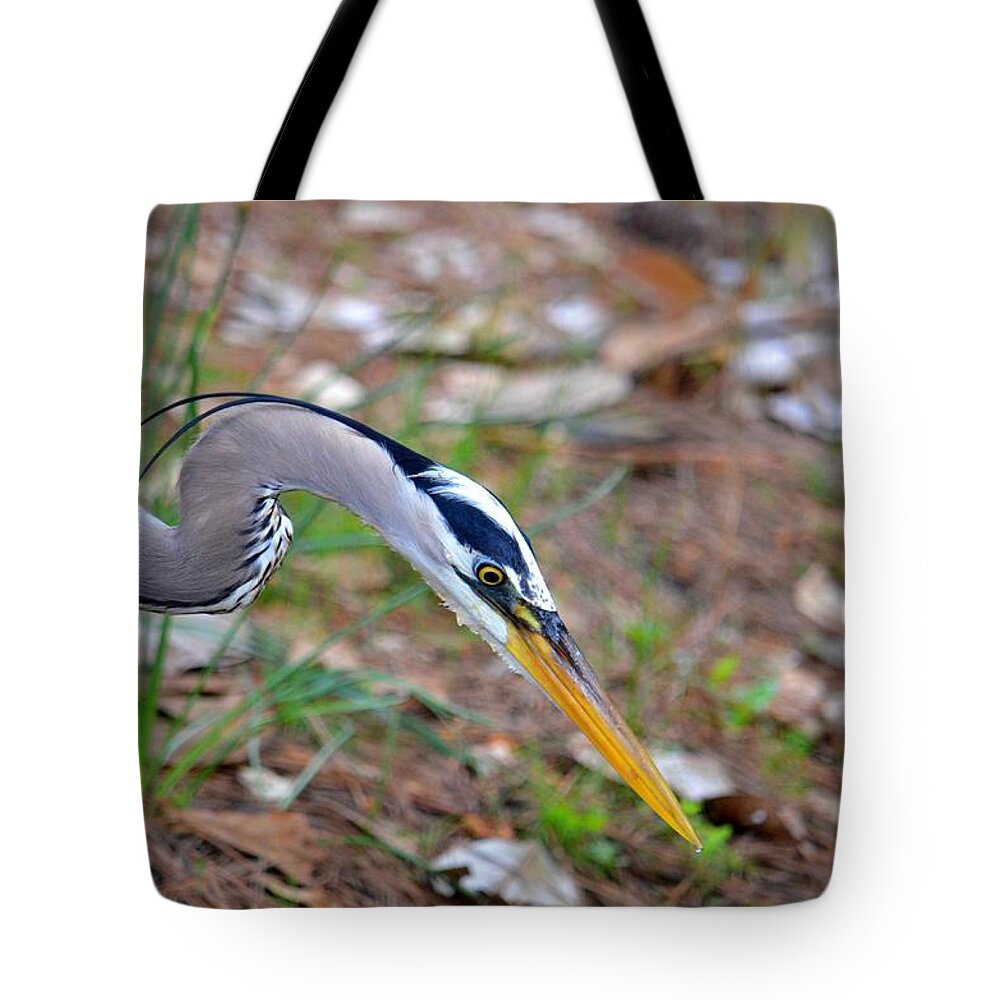 To Catch A Fish Tote Bag featuring the photograph To Catch a Fish by Maria Urso
