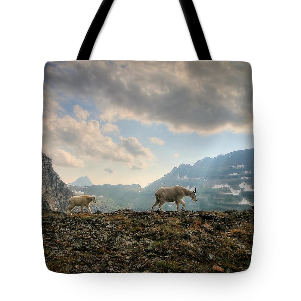 Glacier National Park Tote Bag featuring the photograph To Lead and Follow by Ryan Smith