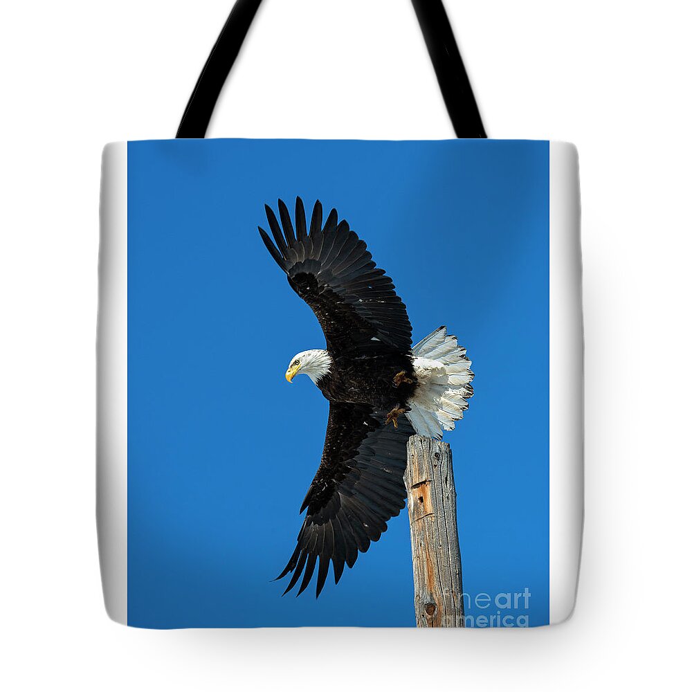 Eagle Tote Bag featuring the photograph To the Air by Michael Dawson