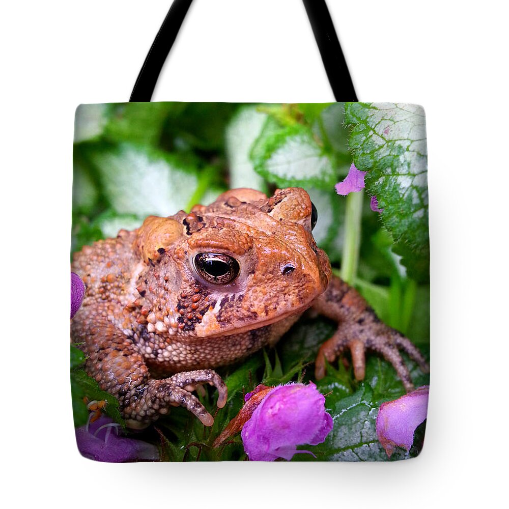 Toad Tote Bag featuring the photograph Toad In Flowers by Brook Burling