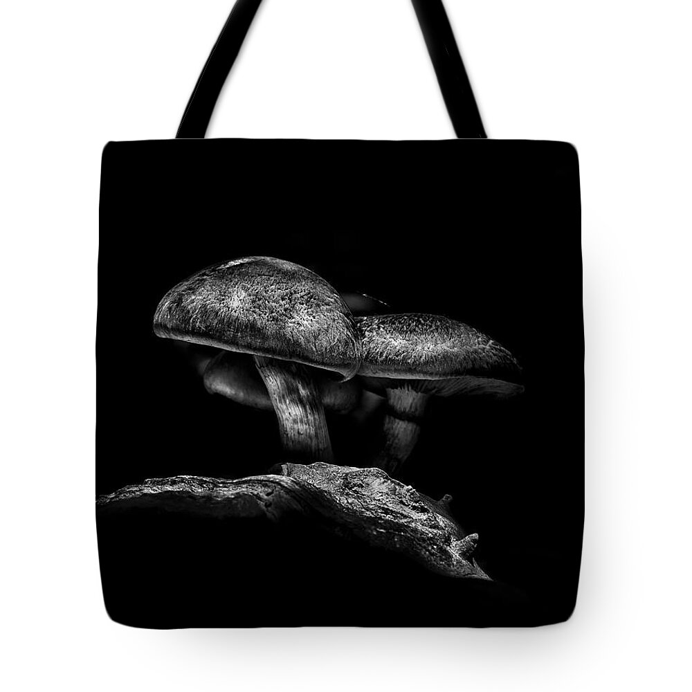 Toronto Tote Bag featuring the photograph Toadstools On A Toronto Trail No 4 by Brian Carson